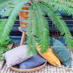 Madison - Bankkussen 110x48 - Groen - Moss Green Recycled Canvas 6 Madison - Bankkussen 110x48 - Groen - Moss Green Recycled Canvas -VIDAXL 1000081681 0102