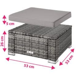 Tectake - Wicker Zitkruk -grijs- 53 X 53 X 26 Cm 7 Tectake - Wicker Zitkruk -grijs- 53 X 53 X 26 Cm -VIDAXL 1000083108 0103