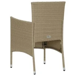 VidaXL Tuinstoelen 2 St Poly Rattan Beige -VIDAXL 78cf118feaf14f1cade0f9ea37a0cb2a